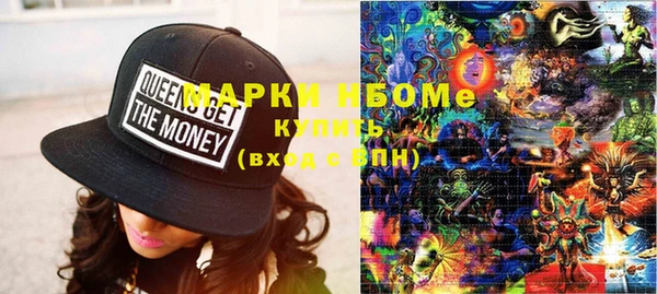 индика Бугульма
