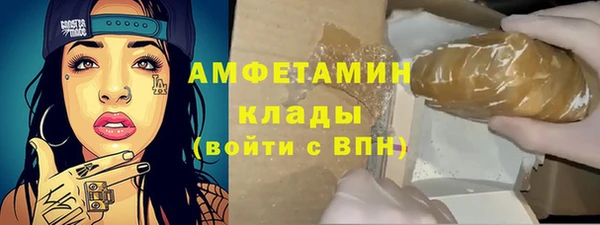 PSILOCYBIN Бородино
