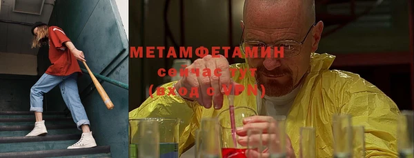PSILOCYBIN Бородино