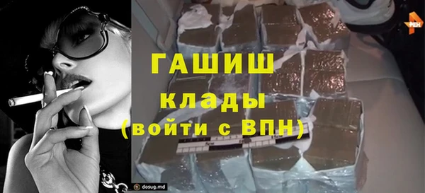 индика Бугульма
