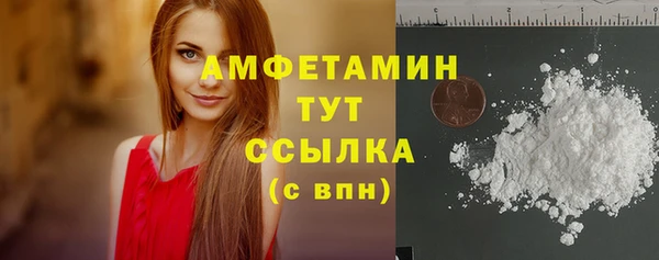 PSILOCYBIN Бородино