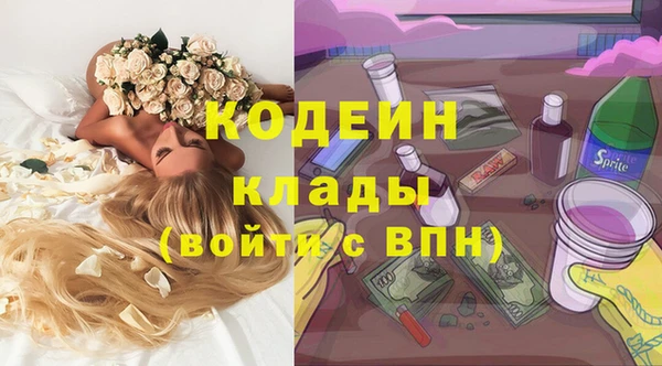 индика Бугульма