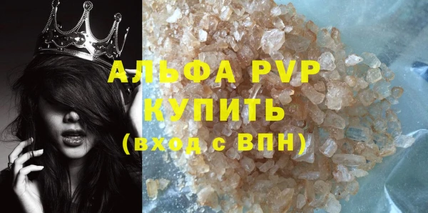 PSILOCYBIN Бородино
