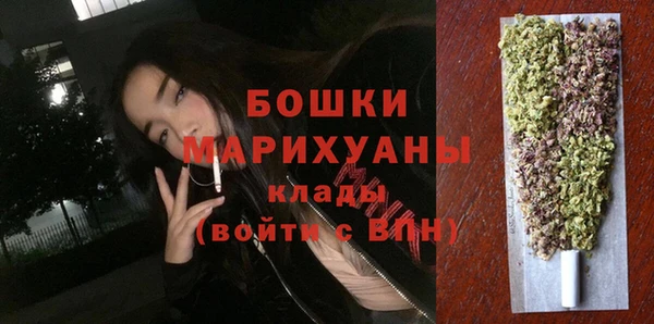 PSILOCYBIN Бородино