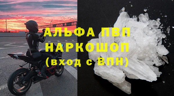 PSILOCYBIN Бородино
