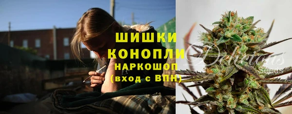 индика Бугульма