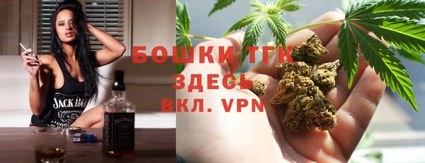 индика Бугульма