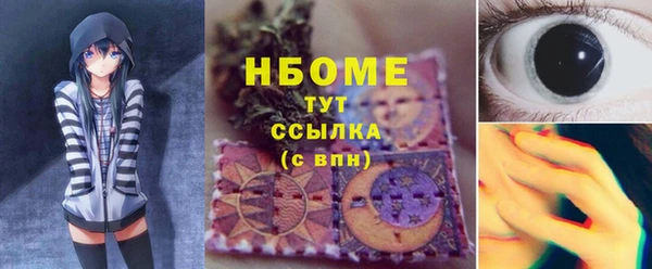 PSILOCYBIN Бородино