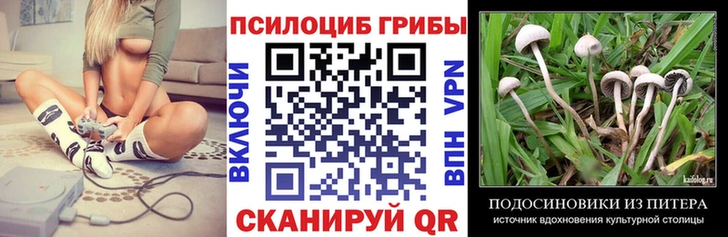 Галлюциногенные грибы ЛСД  наркота  ОМГ ОМГ вход  Прокопьевск 